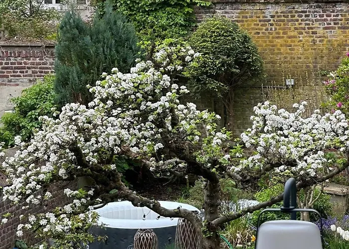 Appartement Briller Palais